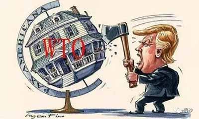 7.webp.jpg