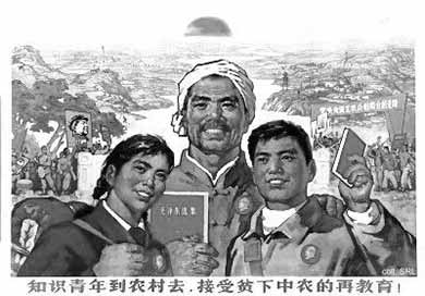 1.webp.jpg