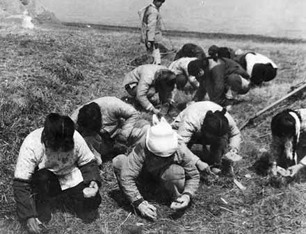 70年 | 永不停歇的战斗:中国疾病防治70年