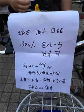 &ldquo;三和大神&rdquo;的双十一怎么过？-激流网