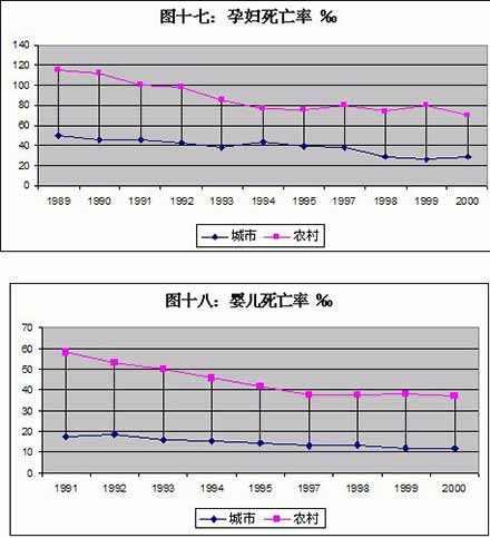 王绍光：中国公共卫生的危机与转机