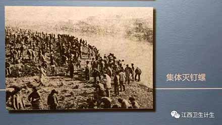 江宇:当前防疫应充分借鉴防治血吸虫病的经验