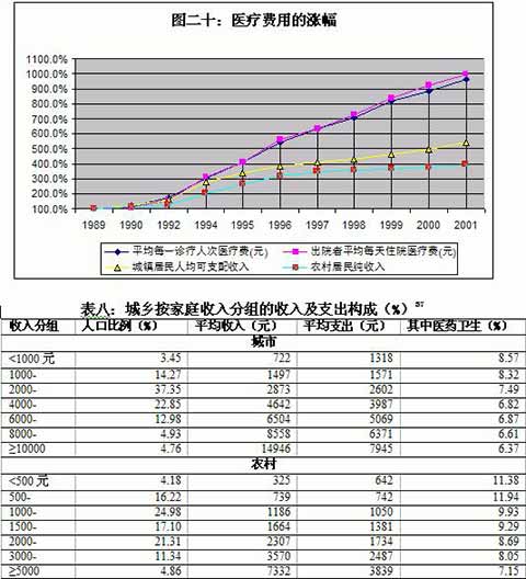 王绍光：中国公共卫生的危机与转机