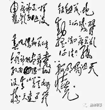 人民领袖与瘟疫村农民的故事