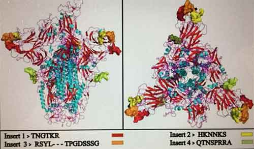 &ldquo;基因治疗之父&rdquo;披露新冠病毒源头之系统研究