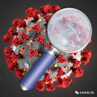 &ldquo;基因治疗之父&rdquo;披露新冠病毒源头之系统研究