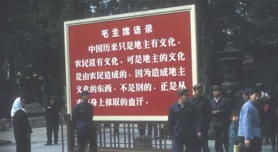 640-(1).jpg