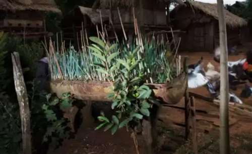 640.webp (15)_Jc.jpg