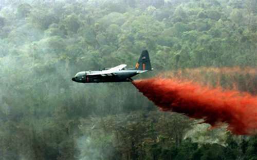 640.webp (19)_Jc.jpg