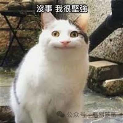 强颜欢笑猫_Jc.jpg